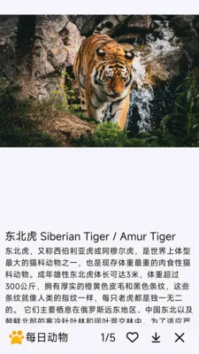 ÿ�ն���2026�ٷ����°汾v1.0.0 ��Ѱ�