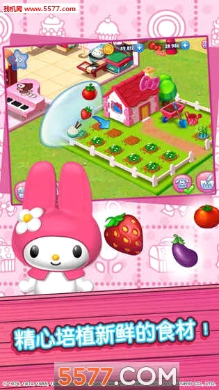 hellokitty��ʳС�����޽�Ұ������ֻ���v1.6 ��Ѱ�