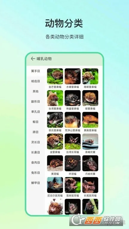 ����ٿ�2026���°汾v4.1.7 �ֻ���