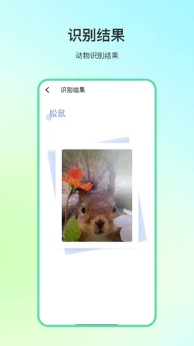 ����ٿ�2026���°汾v4.1.7 �ֻ���