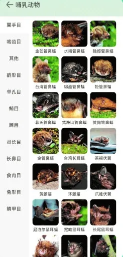 动物百科2026最新版本 动物百科2026最新版本