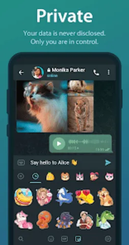 telegreat���Ĺٷ���v12.0.1 �ֻ���