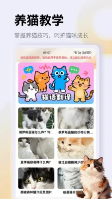 ����è��app(è��һվʽƽ̨)v1.4 �ٷ�����