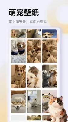 ����è��app(è��һվʽƽ̨)v1.4 �ٷ�����