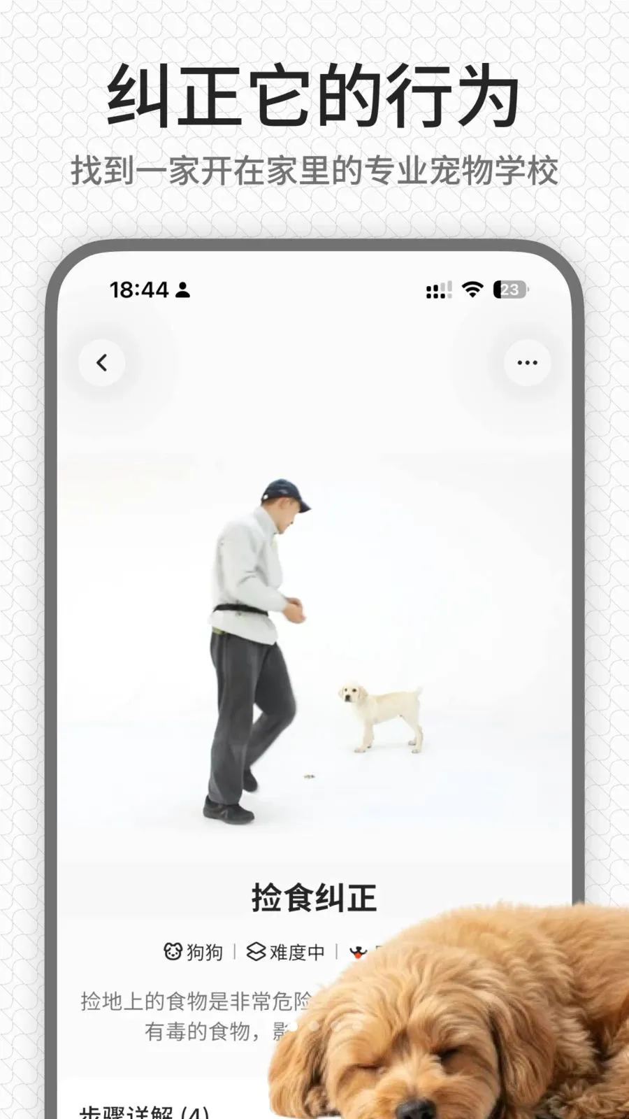 rua�������ֻ���v1.0.1 ��Ѱ�