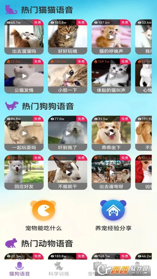 ��è��������׿���ֻ���v1.0.1 �ٷ�����