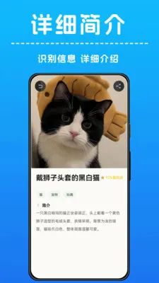 AI����ʶ��(����ʶ����)v1.0.4 ��׿��