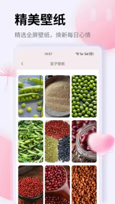 K�������ֻ���v1.0.0 ��׿��