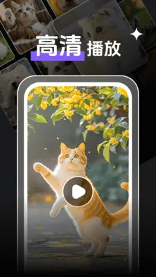 ���̹�Ӱ������player(���ع�Ӱ������)v1.1.3 ��Ѱ�