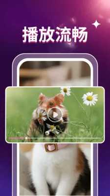 ˽��ӰƬ������(��Ƶ����APP)v1.0.3 �ٷ�����