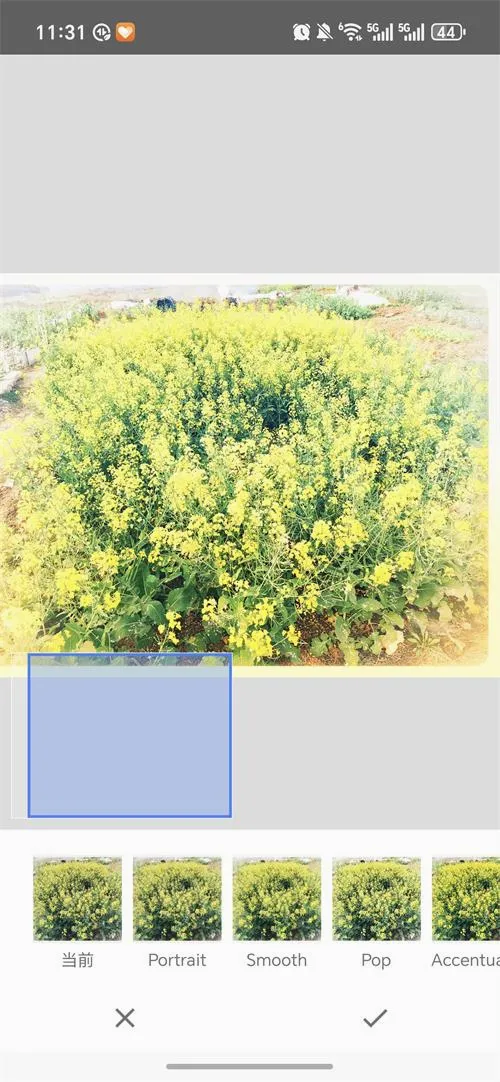 BetterSeed2026���°汾v2.22.0.633363672 ��׿��