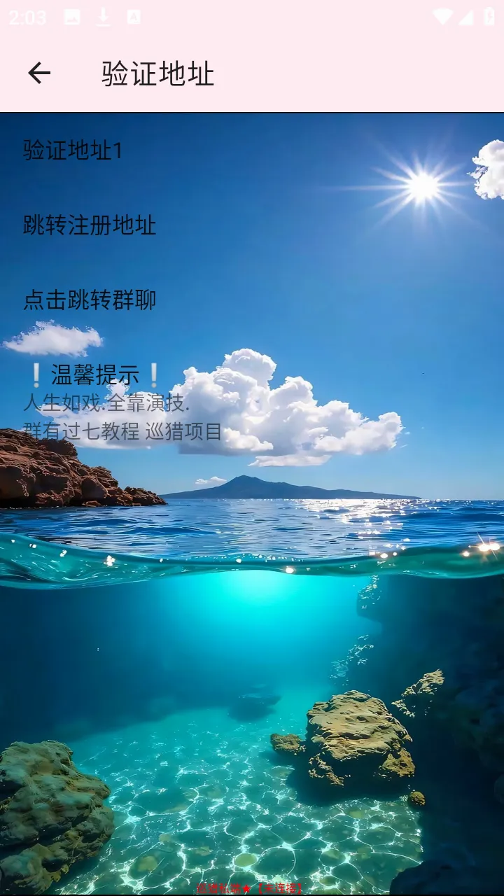 Ѳ��˽��(���������Ż�����)vѲ��˽�� ��׿��