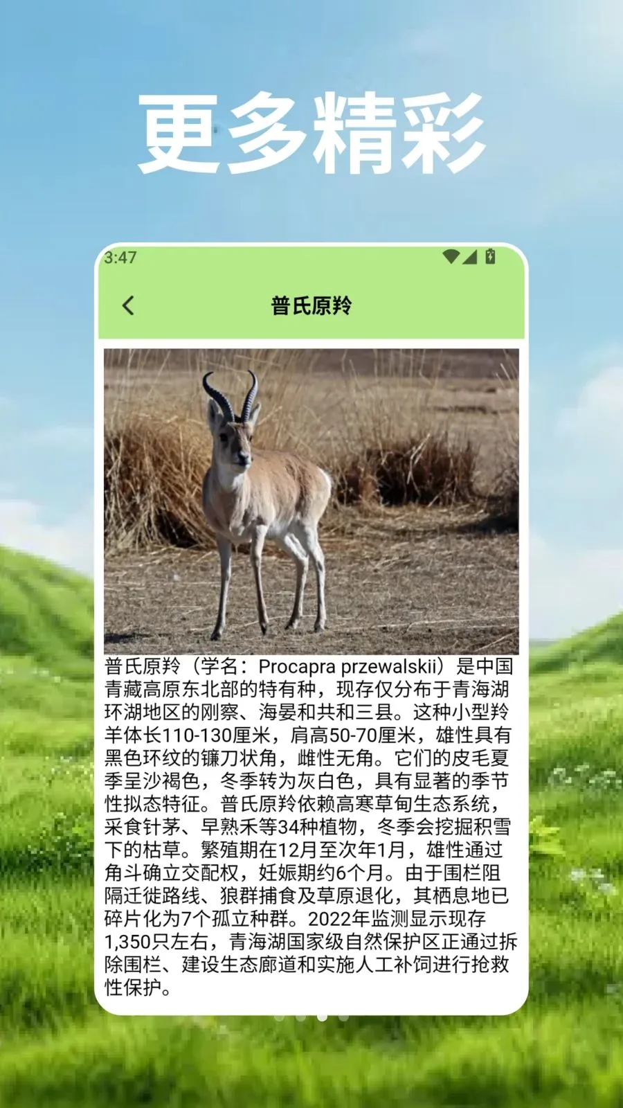 ��Ⱥ�Ŀ�ѧ�ܰ�׿���ֻ���v2.3 ��Ѱ�