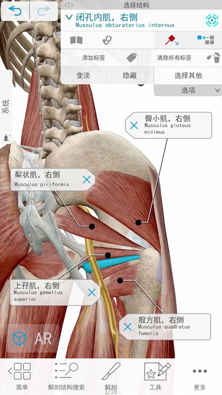 ������� 3d(����ѧѧϰƽ̨)v1.6 �ֻ���
