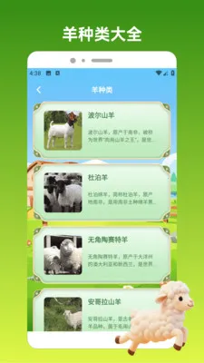 ����С�������ֻ���v1.3 �ֻ���