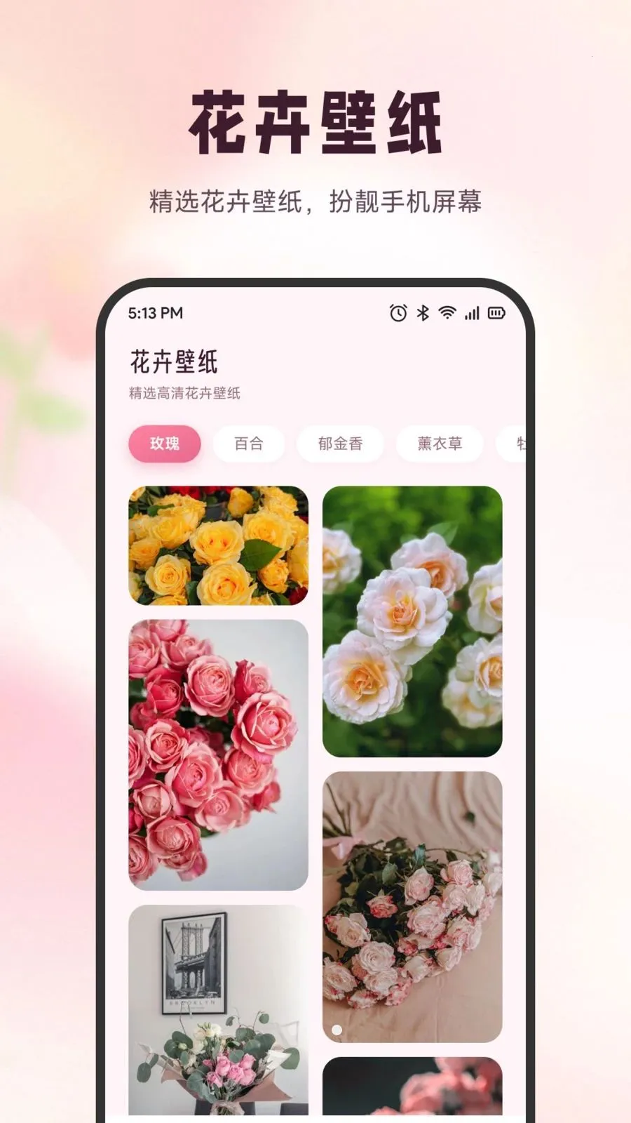 ѩ�ڻ���(ʶ����������)v1.6 �ٷ�����