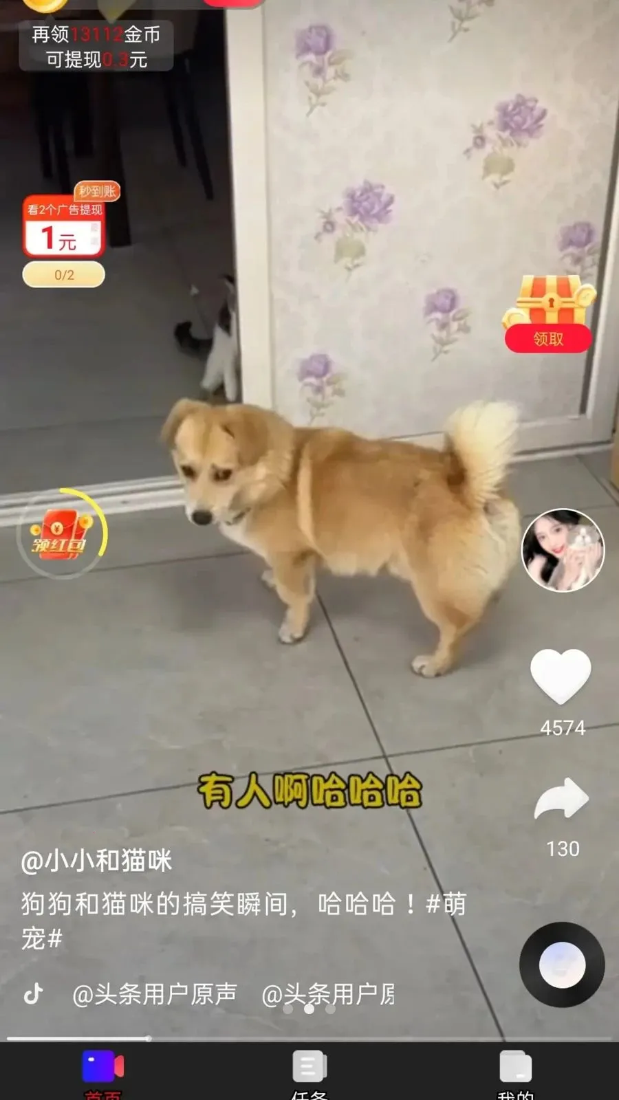 ��ӯ����(��ƵѰ��׬Ǯ)v1.0.1 �ٷ�����