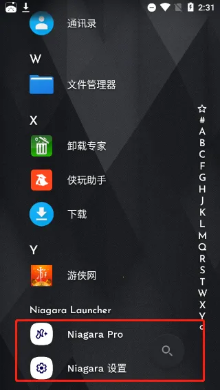 Niagara Launcher(安卓桌面应用)