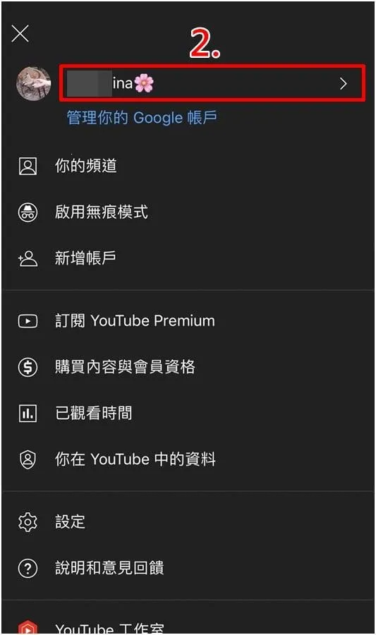 youtube English�����ֻ���