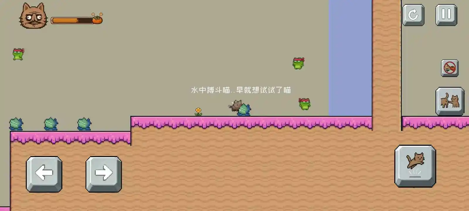 药柿了喵(猫咪寻厕游戏) 药柿了喵(猫咪寻厕游戏)