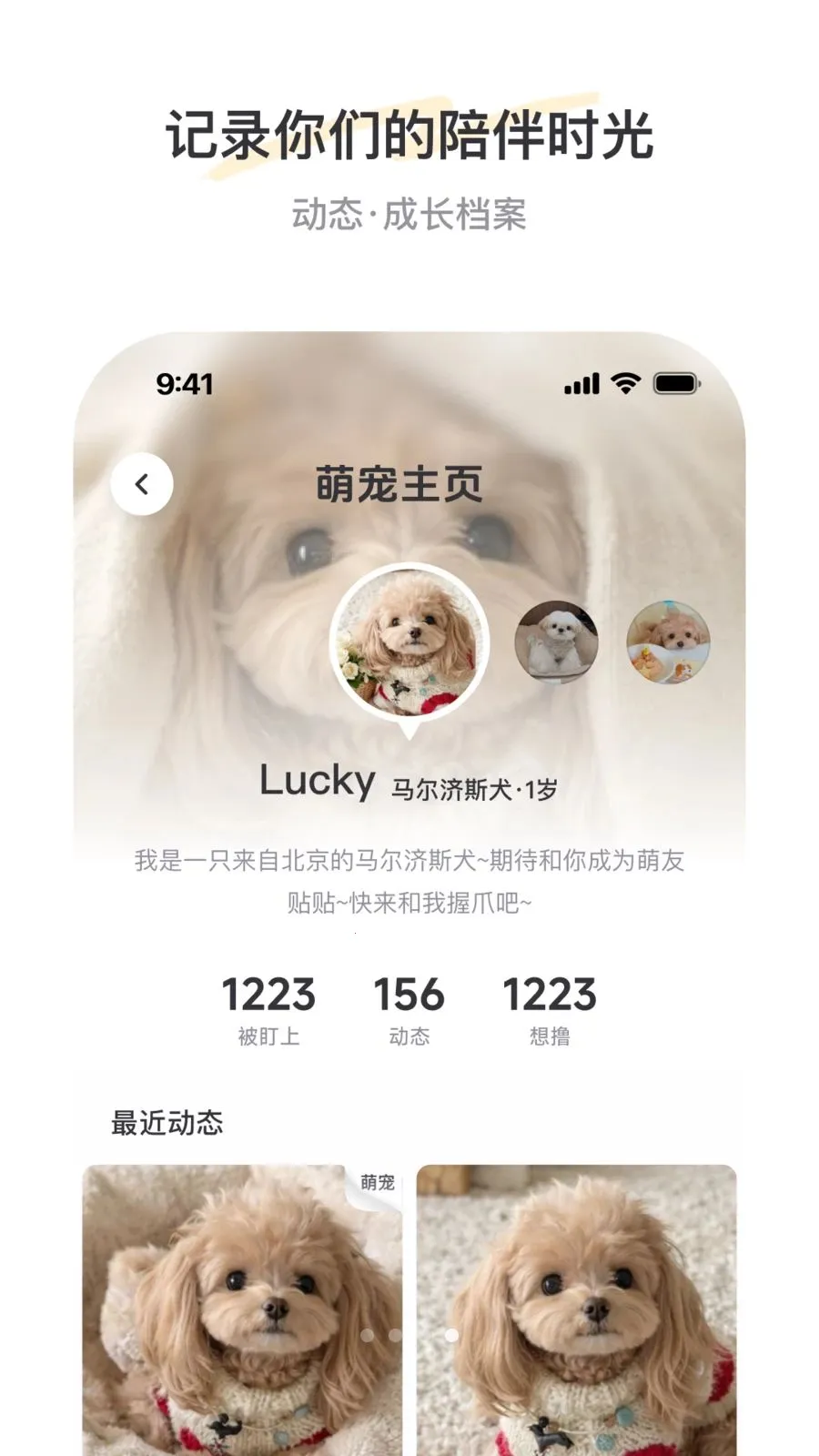 PetSpace(�ȳ��罻ƽ̨)v2.3.1 �ٷ�����