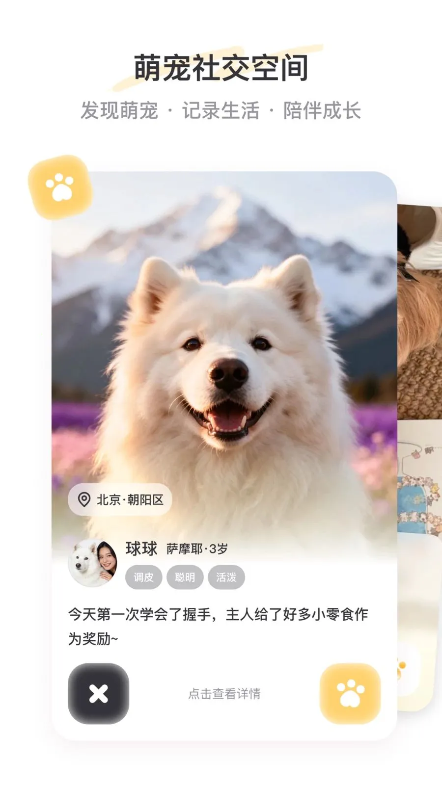 PetSpace(�ȳ��罻ƽ̨)v2.3.1 �ٷ�����