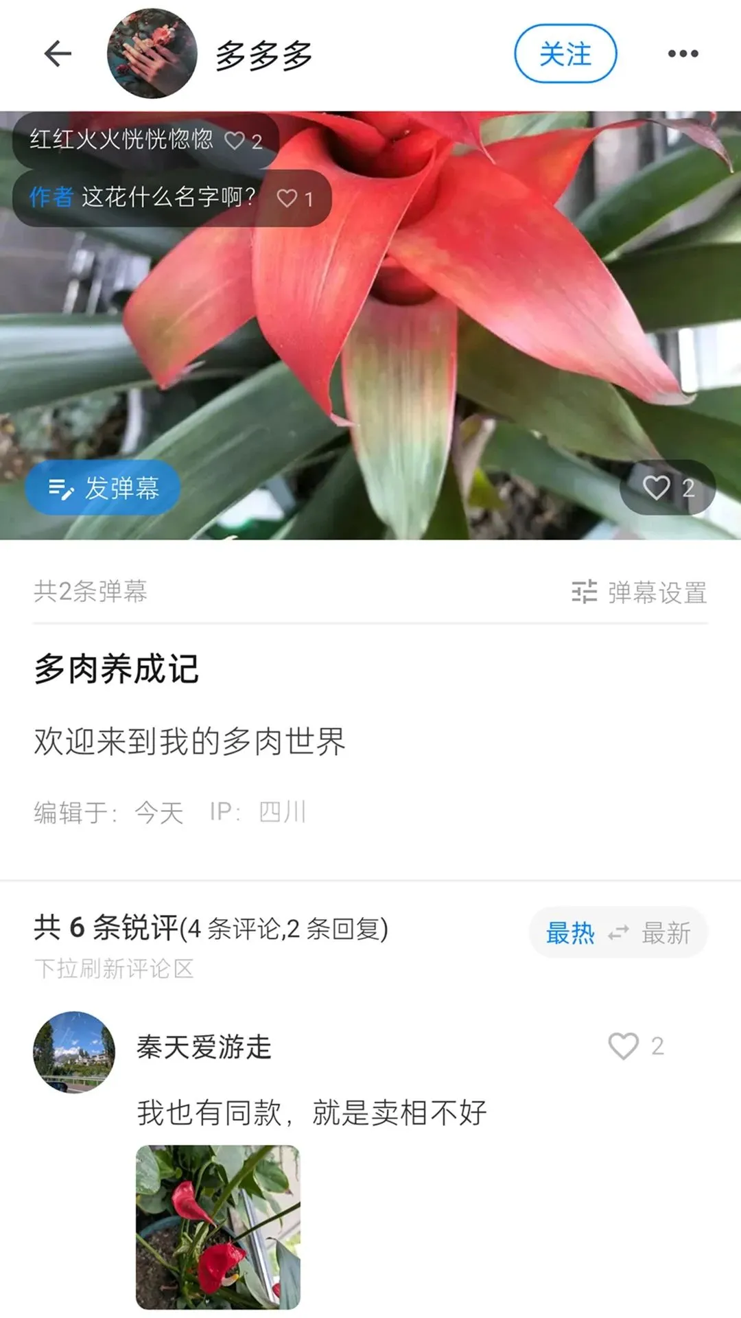 �������(��¼����ƽ̨)v1.0.1 �ٷ�����