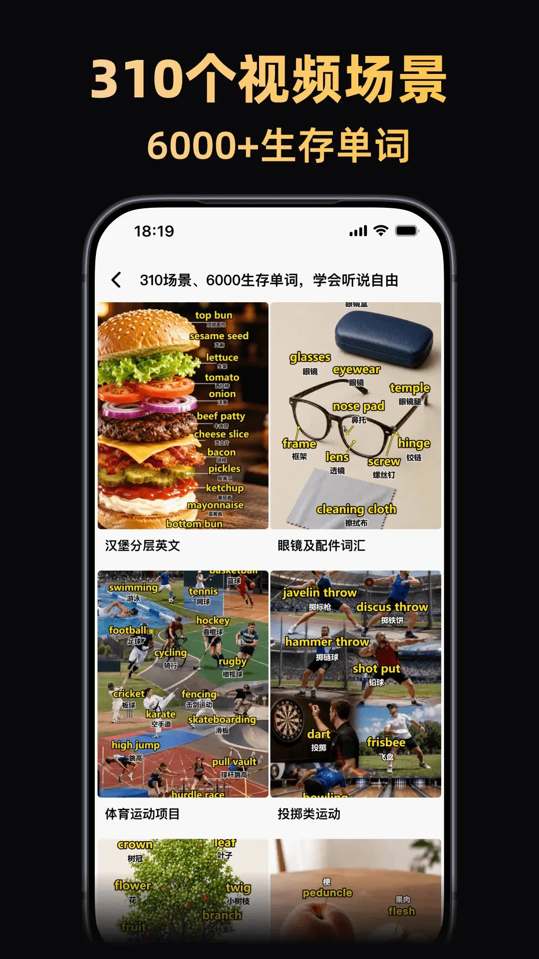阿美英语(英语学习平台) 阿美英语(英语学习平台)