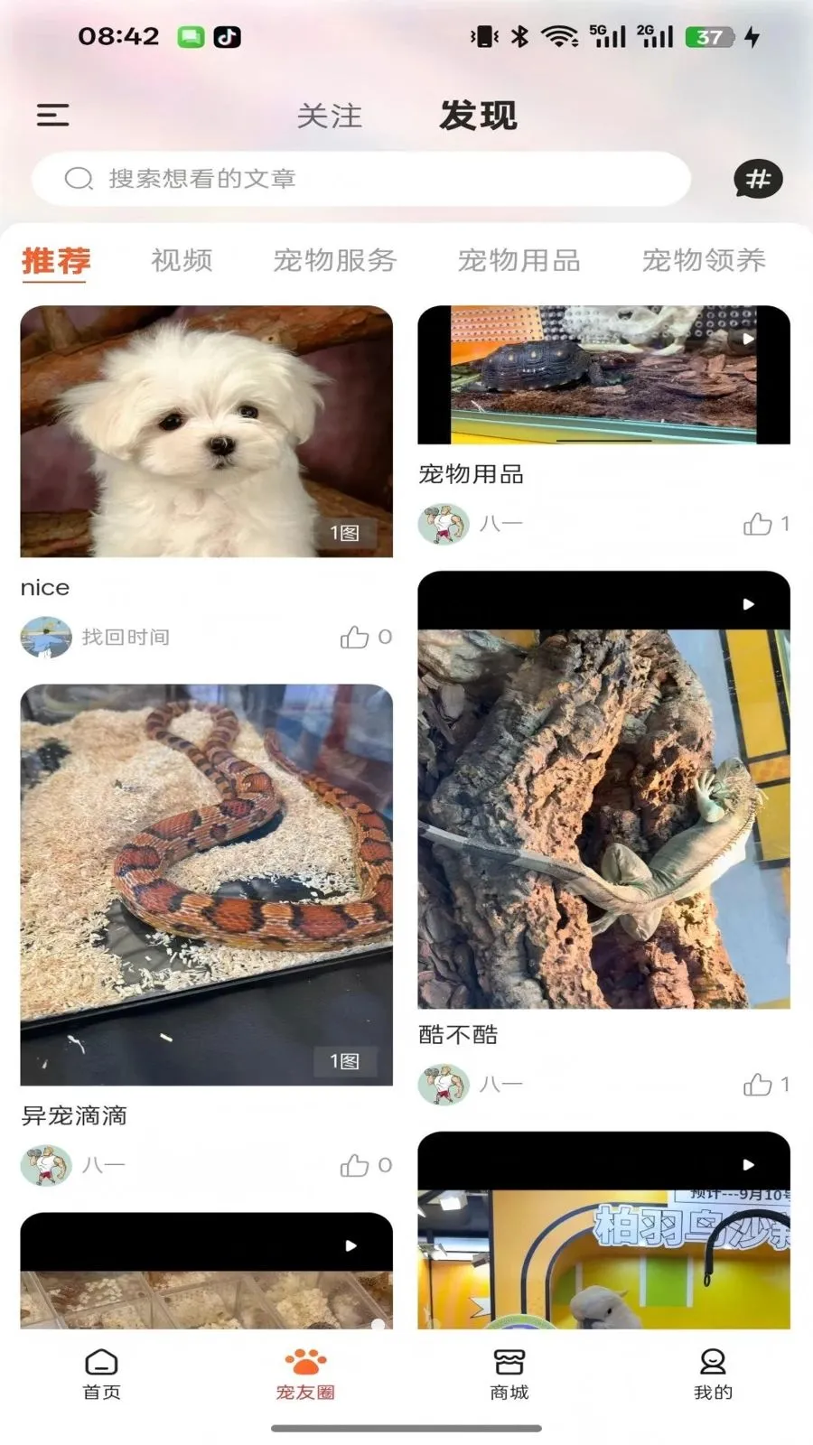 执宠乐最新手机版 执宠乐最新手机版