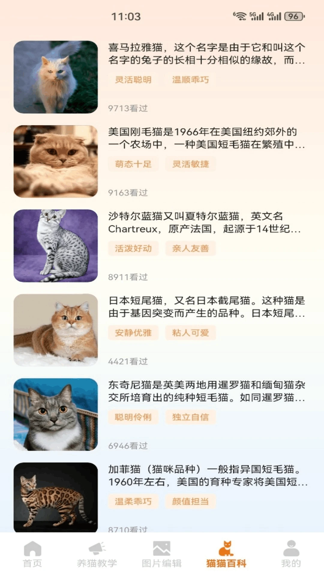 Сè����(��è�ۺ�Ӧ��)v5.2 ��Ѱ�