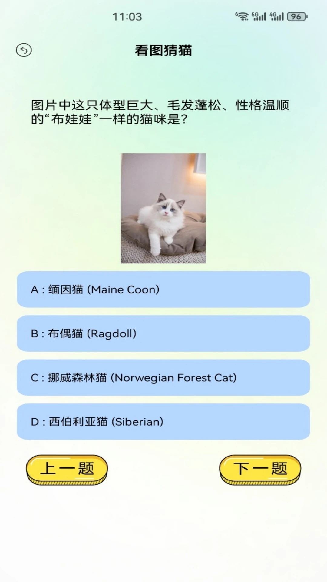 Сè����(��è�ۺ�Ӧ��)v5.2 ��Ѱ�