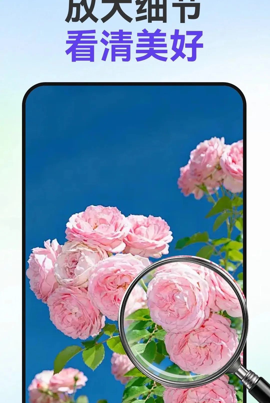 С�ַŴ�����2026�ٷ����°汾v1.0.0 �ֻ���