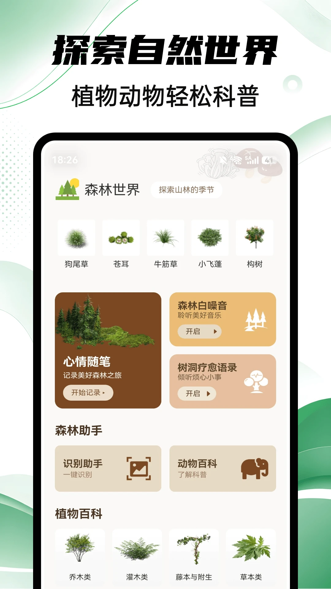 Aeluɭ��2026���°汾