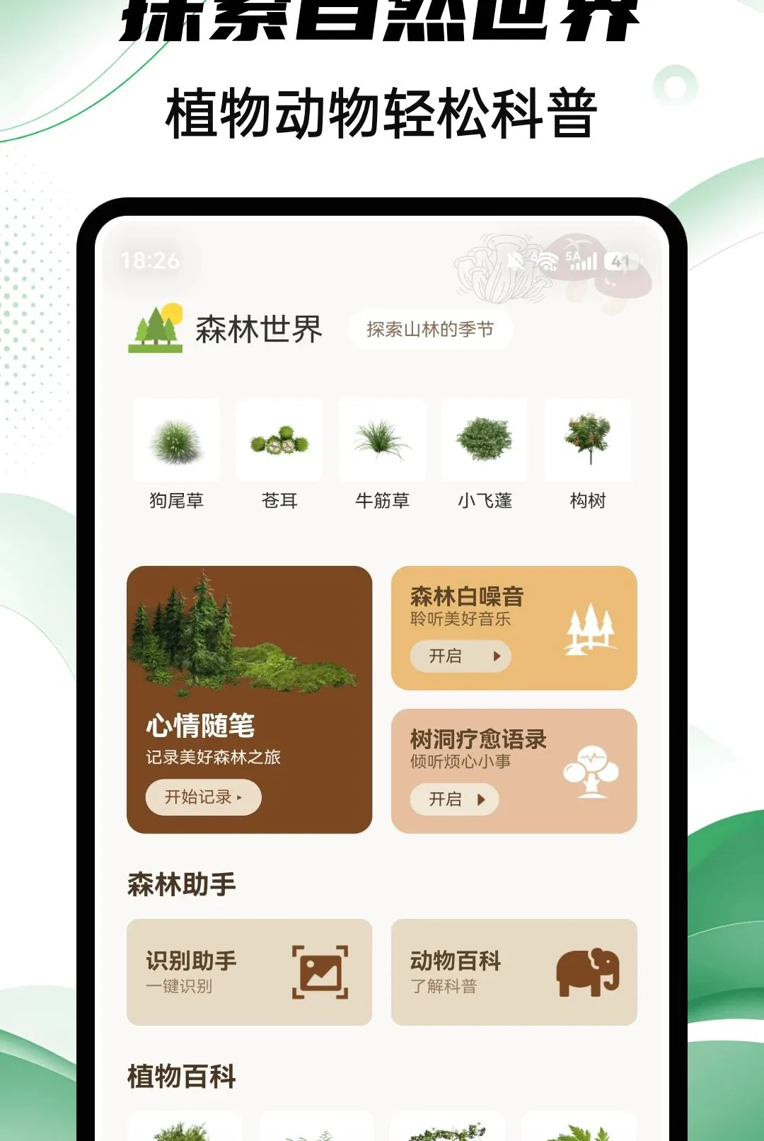 Aeluɭ��2026���°汾v1.0.4 ��׿��