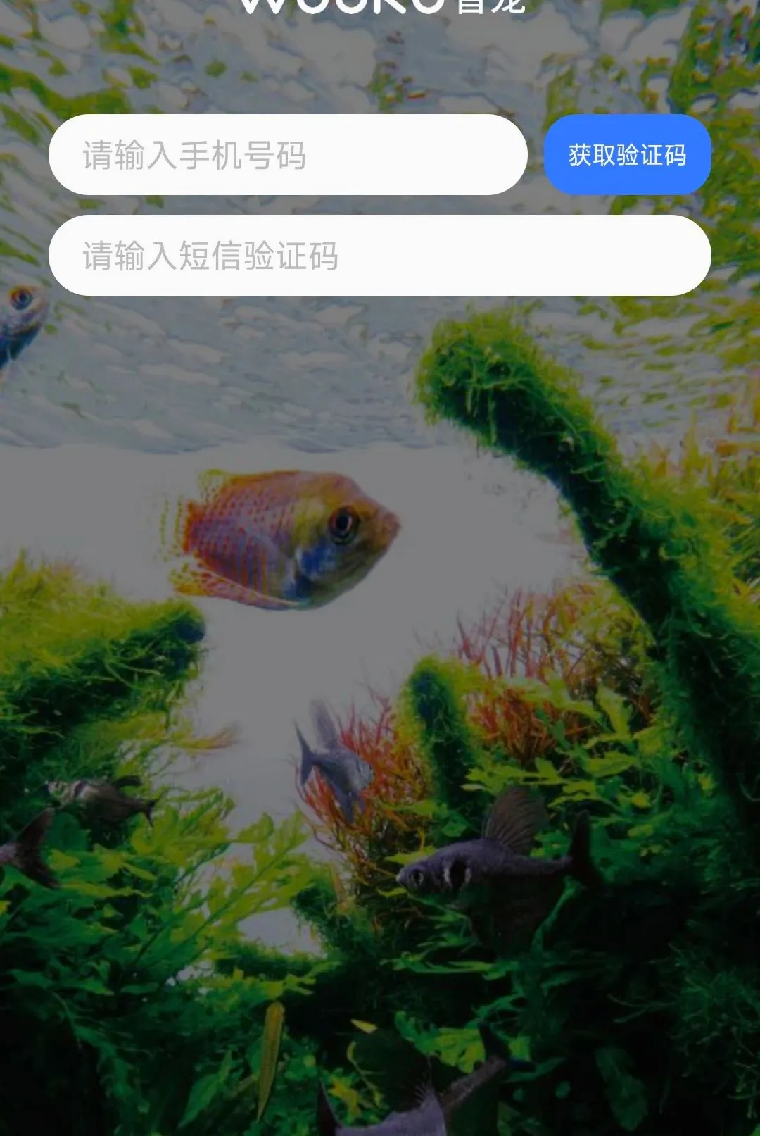 WOOKU�ǳ谲׿���ֻ���v1.0.29 ��׿��